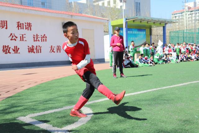 独行侠或成西部黑马，首发均为乐透选秀球员